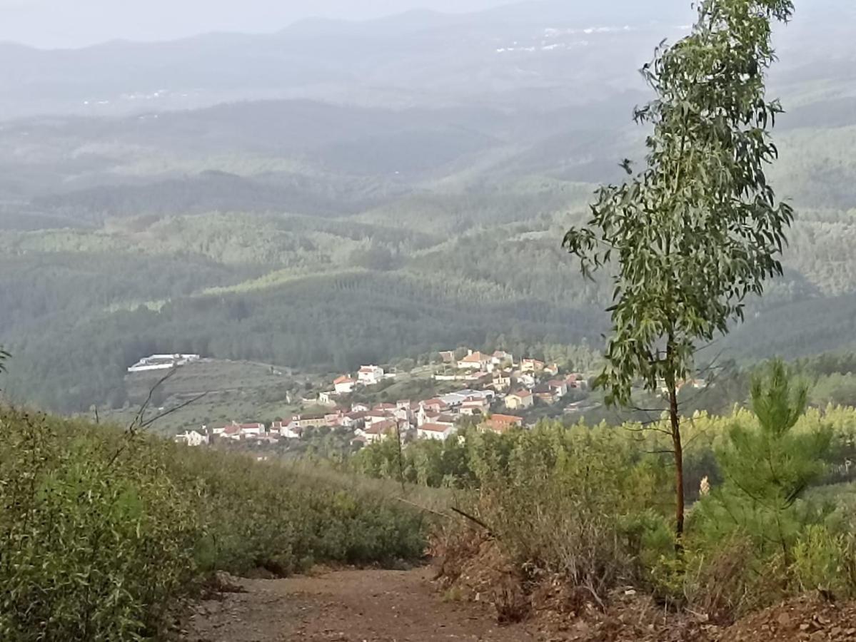 Casa Xara Lägenhet Proença-a-Nova Exteriör bild